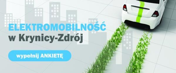 Strategia rozwoju elektromobilności Gminy Krynica-Zdrój - ankieta